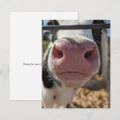 ペンシルベニアの農場の乳牛 ノートカード (正面/裏面)