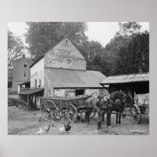 ペンシルベニアの農場、1906年。ヴィンテージ写真 ポスター