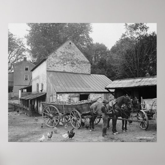 ペンシルベニアの農場、1906年。ヴィンテージ写真 ポスター (正面)