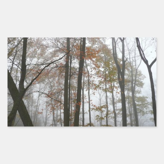ペンシルベニア州の霧深い秋 紅葉の自然 長方形シール (正面)