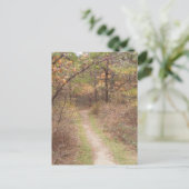 ペンシルベニア州アパラチア秋 ポストカード (スタンド正面)