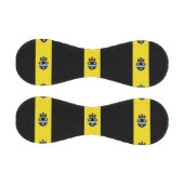 ペンシルベニア州ピッツバーグ国旗 野球ボール (パネル)