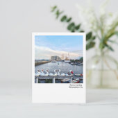 ペンシルベニア州フィラデルフィアのポストカード - ペンの着陸 スワンボート ポストカード (スタンド正面)