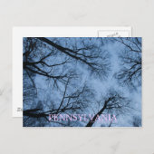 ペンシルベニア，空の葉書に触れる ポストカード (正面/裏面)