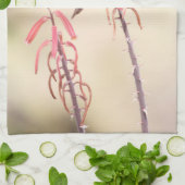 ペンステモンに止まったベルダン キッチンタオル (折り畳み)