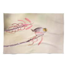 ペンステモンに止まったベルダン