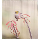 ペンステモンに止まったベルダン シャワーカーテン (正面)