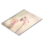 ペンステモンに止まったベルダン ノートブック (左側)