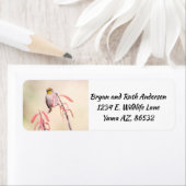 ペンステモンに止まったベルダン ラベル (インサイチュ)