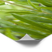 ペンステモンの草原 ポスター (角)