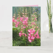 ペンステモンフラワーガーデンフローラハッピーバースデーカード カード (正面)