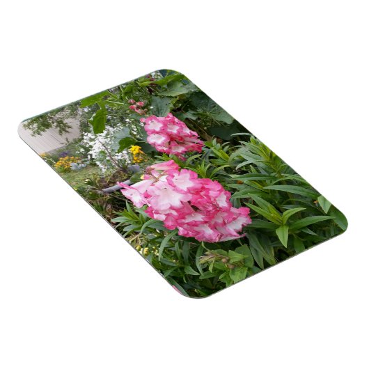 ペンステモンフラワーガーデンフローラ誕生日マグネット マグネット (右側)