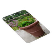 ペンステモン マグネット (右側)