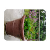 ペンステモン マグネット (横)