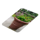 ペンステモン マグネット (左側)