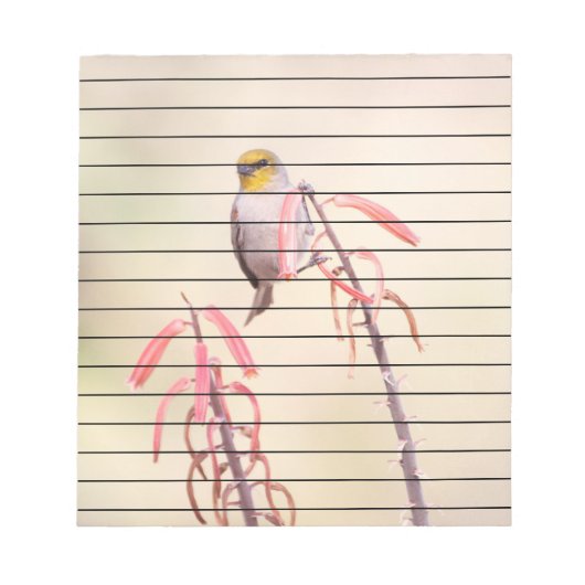 ペンストモンにとまるコリブリ ノートパッド (正面)