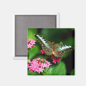 ペンタス1磁石のクリッパー マグネット (正面/裏面)