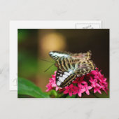 ペンタス3のクリッパー ポストカード (正面/裏面)