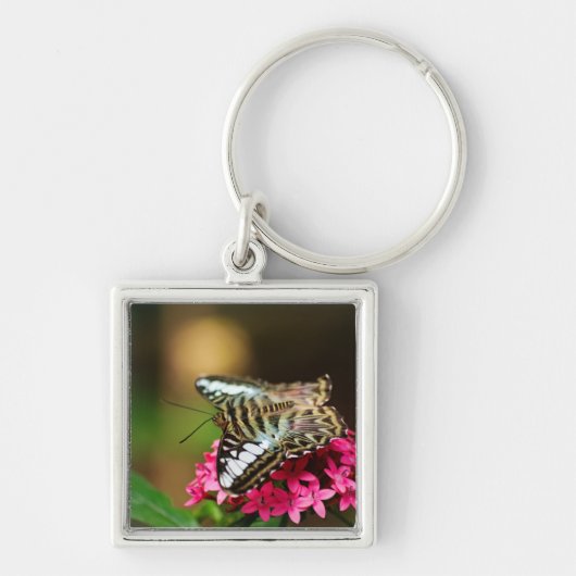 ペンタス3キーチェーンのクリッパー キーホルダー (正面)