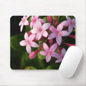 ペンタス マウスパッド (マウス)