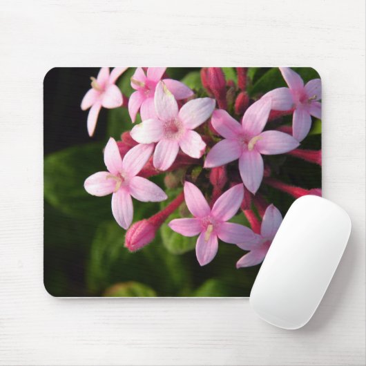 ペンタス マウスパッド (マウス)