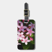 ペンタス ラゲッジタグ (正面縦)