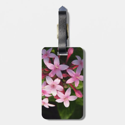 ペンタス ラゲッジタグ (裏面縦)