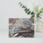 ペンティ ポストカード (スタンド正面)