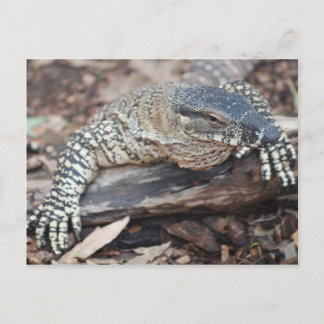 ペンティ ポストカード