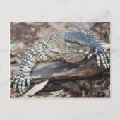 ペンティ ポストカード (正面)