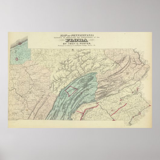 ペンフローラ ポスター (正面)