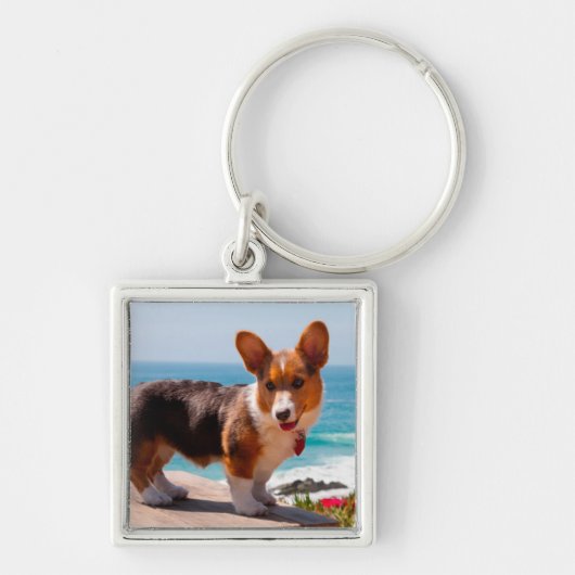 ペンブレークウェルシュコーギーの子犬がテーブルに立って キーホルダー (正面)