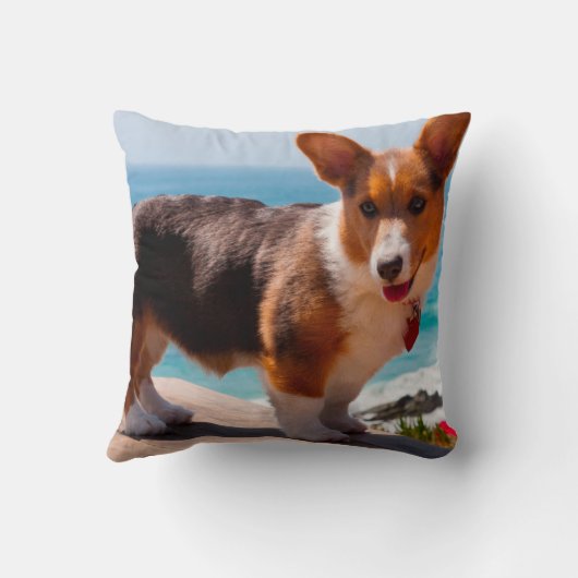 ペンブレークウェルシュコーギーの子犬がテーブルに立って クッション (裏面)