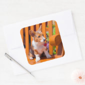 ペンブレークウェルシュコーギーの子犬が公園のベンチに座って スクエアシール (封筒)