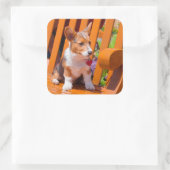 ペンブレークウェルシュコーギーの子犬が公園のベンチに座って スクエアシール (バッグ)