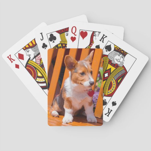 ペンブレークウェルシュコーギーの子犬が公園のベンチに座って トランプ (裏面)