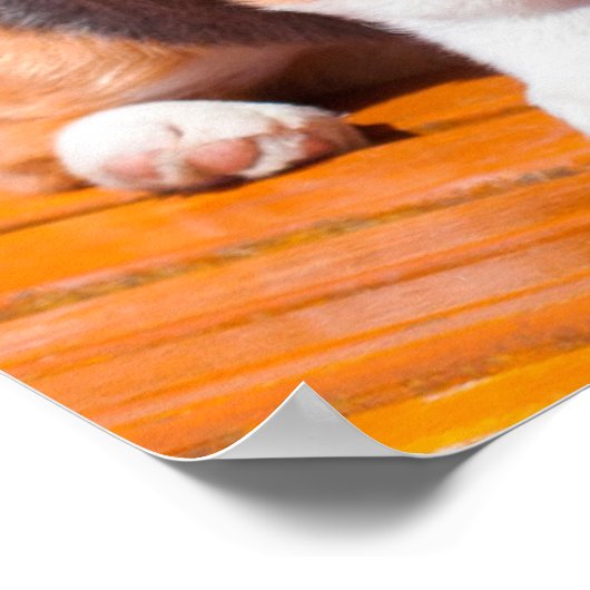 ペンブレークウェルシュコーギーの子犬が公園のベンチに座って ポスター (角)