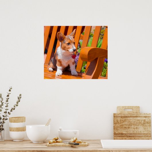 ペンブレークウェルシュコーギーの子犬が公園のベンチに座って ポスター (キッチン)