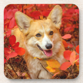 ペンブレークウェルシュコーギー子犬葉赤い コースター