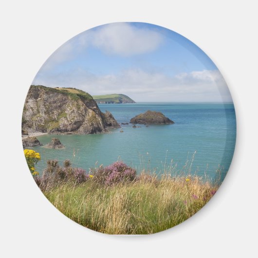 ペンブロケシャー・ニューポートサンズ マグネット (正面)