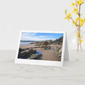 ペンブロケシャー・ホワイトサンズベイ カード (黄色い花)