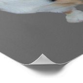 ペンブロークウェルシュコーギーソウルフルプリント ポスター (角)