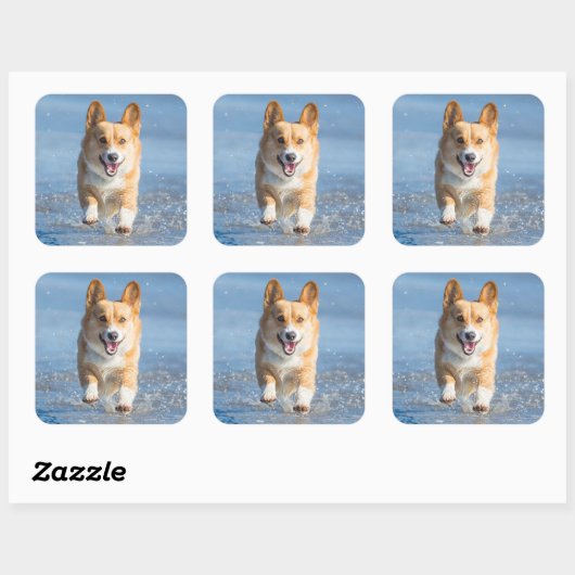 ペンブロークウェルシュコーギーランニングズ犬のビーチ スクエアシール (シート)