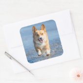 ペンブロークウェルシュコーギーランニングズ犬のビーチ スクエアシール (封筒)