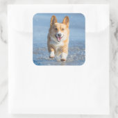 ペンブロークウェルシュコーギーランニングズ犬のビーチ スクエアシール (バッグ)