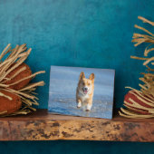 ペンブロークウェルシュコーギーランニングズ犬のビーチ フォトプラーク (側面)