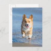 ペンブロークウェルシュコーギーランニングズ犬のビーチ ポストカード (正面/裏面)