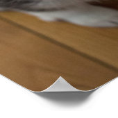 ペンブロークウェルシュコーギー子犬3 ポスター (角)