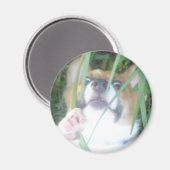 ペンブロークウェルシュコーギー子犬 マグネット (正面/裏面)