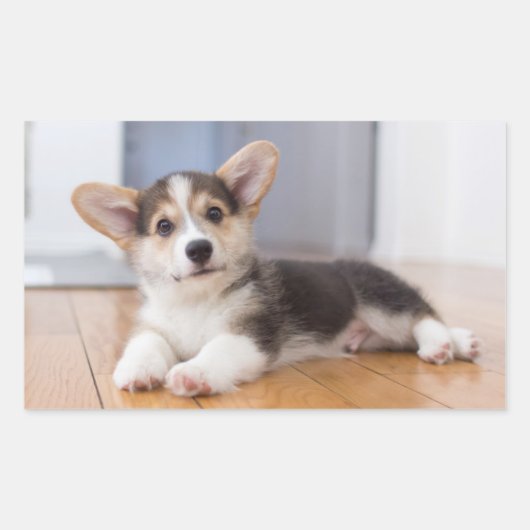 ペンブロークウェルシュコーギー子犬 長方形シール (正面)